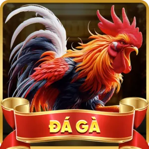Bước 3: Hoàn tất cài đặt F168 iOS